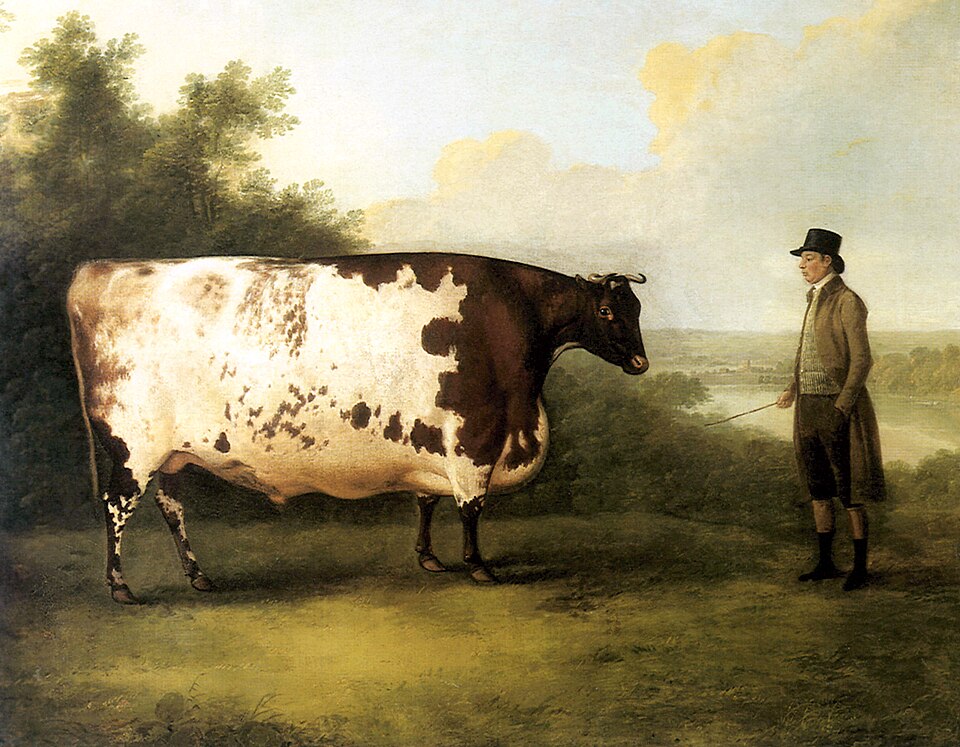 The Durham Ox, exhibited in an age when beef was worth the ticket. It still is; the ticket changed.